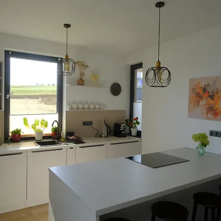 Cervene Maky - Red Poppies